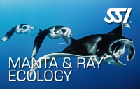 Specialty Instructor Manta & Ray Ecology